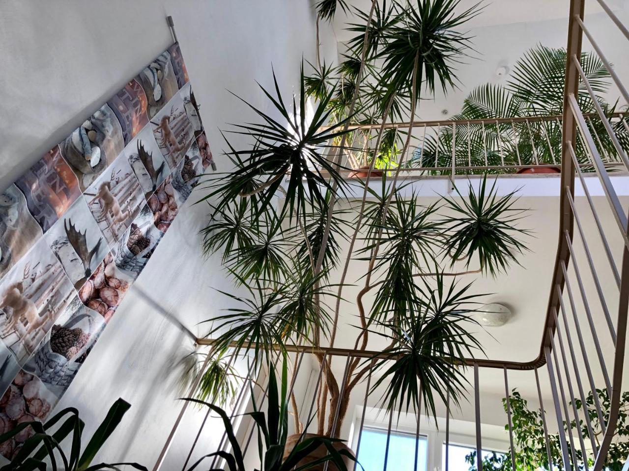 Hotel Hilgers Düren - Eifel Εξωτερικό φωτογραφία